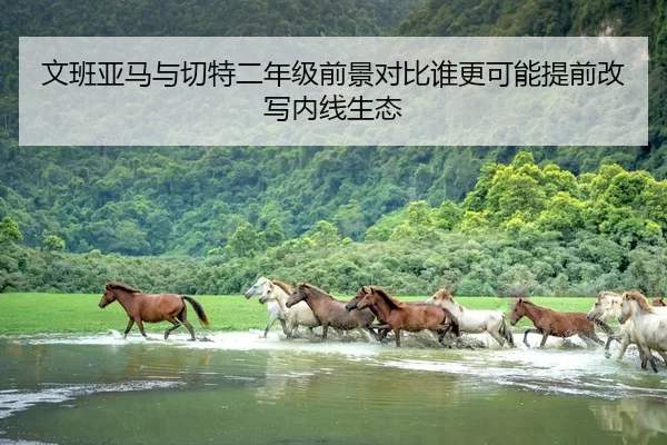 文班亚马与切特二年级前景对比谁更可能提前改写内线生态