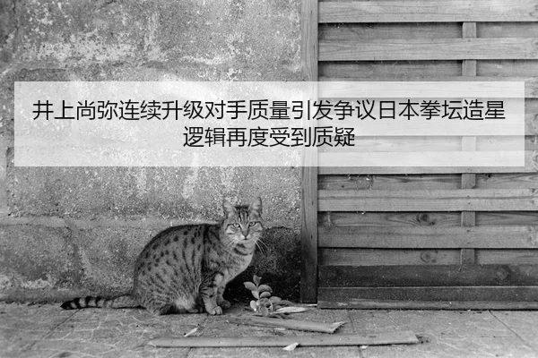 井上尚弥连续升级对手质量引发争议日本拳坛造星逻辑再度受到质疑