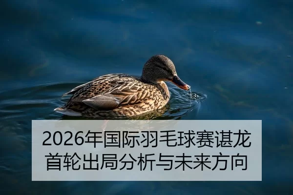 2026年国际羽毛球赛谌龙首轮出局分析与未来方向