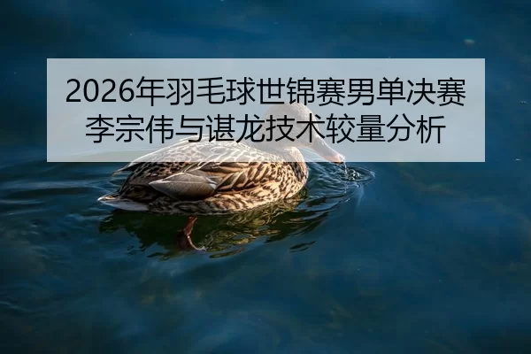2026年羽毛球世锦赛男单决赛李宗伟与谌龙技术较量分析