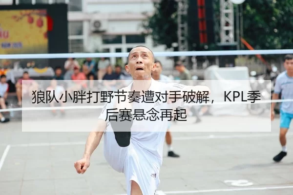 狼队小胖打野节奏遭对手破解，KPL季后赛悬念再起