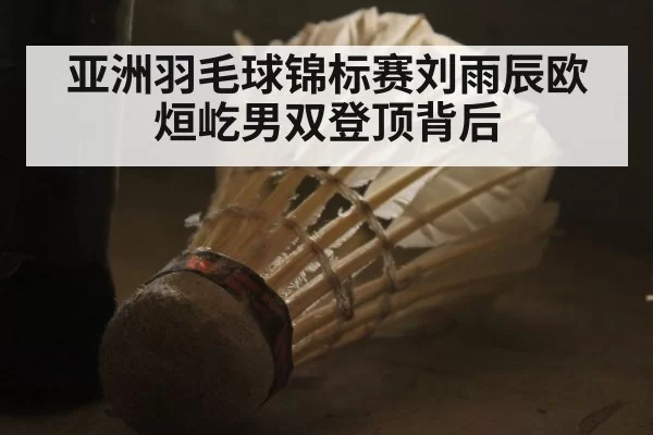 亚洲羽毛球锦标赛刘雨辰欧烜屹男双登顶背后