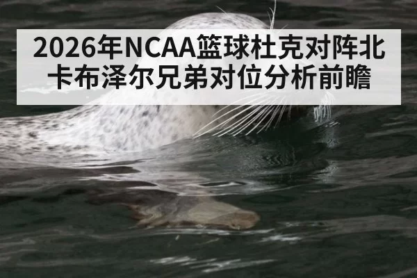 2026年NCAA篮球杜克对阵北卡布泽尔兄弟对位分析前瞻